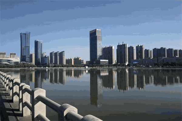 森合律师事务所